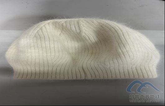 2025年11月13日地鐵1號線站內(nèi)遺失物品90.png 2025年11月13日地鐵1號線站內(nèi)遺失物品90.png