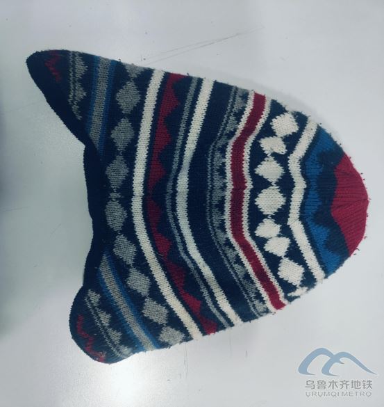 2025年9月5日地鐵1號線站內遺失物品493.png 2025年9月5日地鐵1號線站內遺失物品493.png