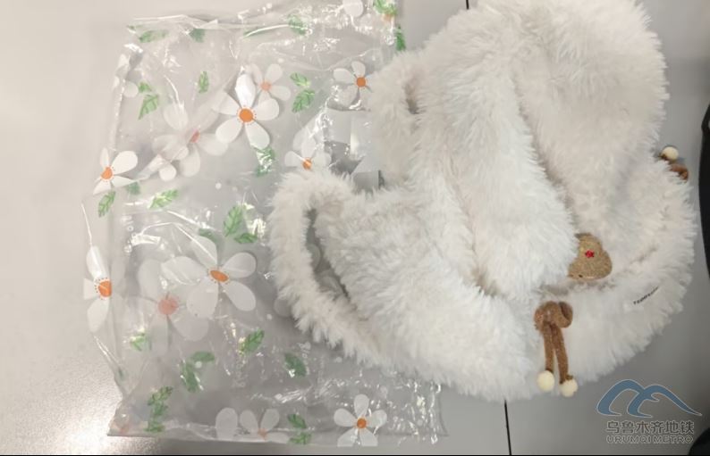 2025年12月13日地鐵1號線站內(nèi)遺失物品清單462.png 2025年12月13日地鐵1號線站內(nèi)遺失物品清單462.png