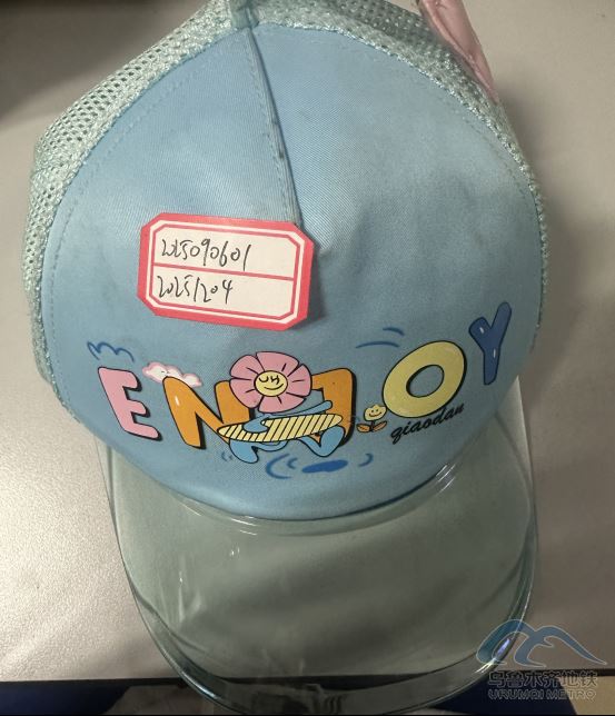 2025年9月6日地鐵1號線站內(nèi)遺失物品清單489.png 2025年9月6日地鐵1號線站內(nèi)遺失物品清單489.png